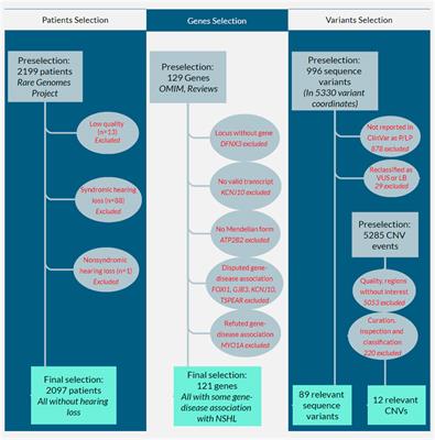 Genomic study of nonsyndromic hearing loss in unaffected individuals: Frequency of pathogenic and likely pathogenic variants in a Brazilian cohort of 2,097 genomes